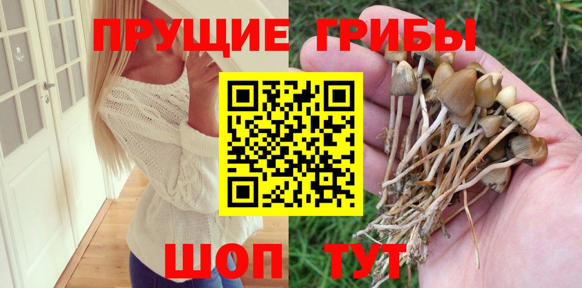 Галлюциногенные грибы прущие грибы Вологда
